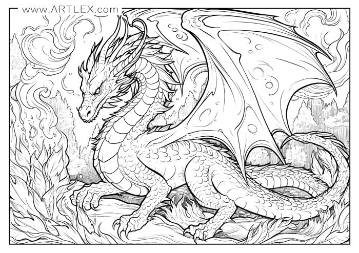 Dragon coloring book pages