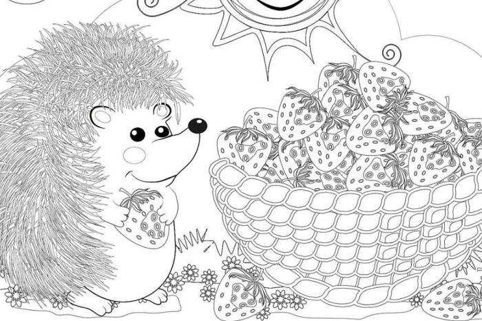 Advanced coloring pages of animals of hegehogs