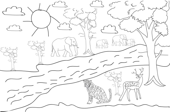 Coloring page forest animals