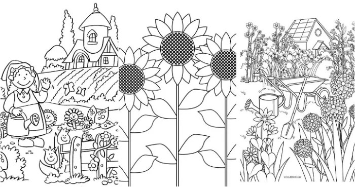 Animated backyard coloring page