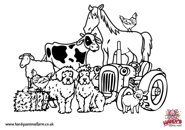 Farm animals pictures coloring