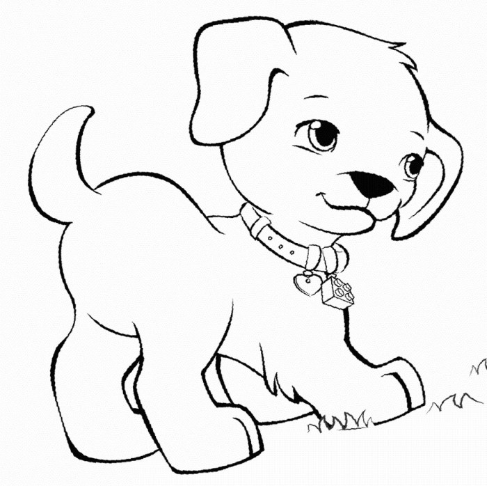 Coloring picture of pet animals