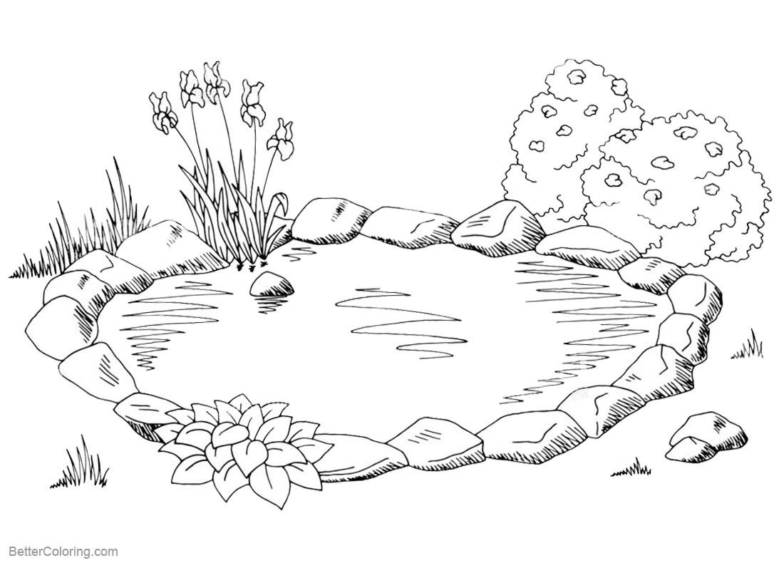 Animated fish pond coloring page