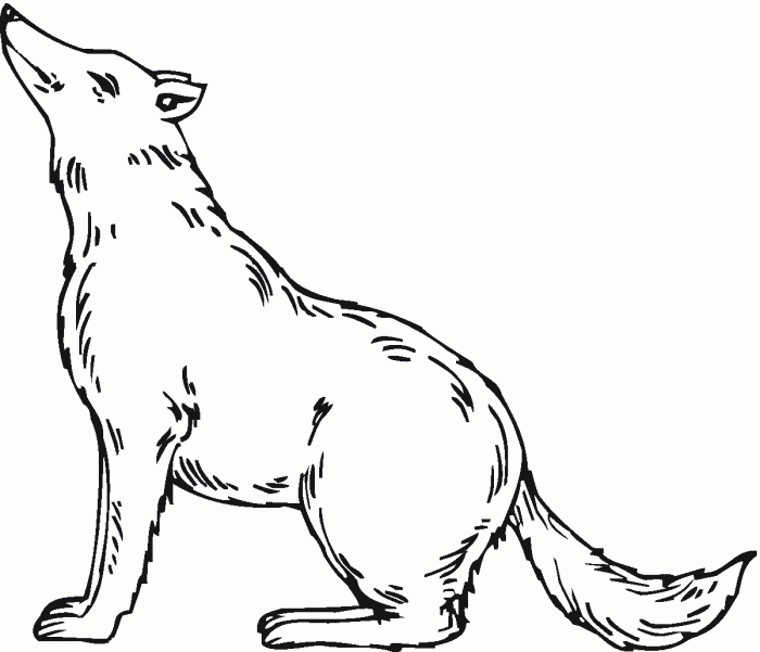 Anima wolf coloring pages