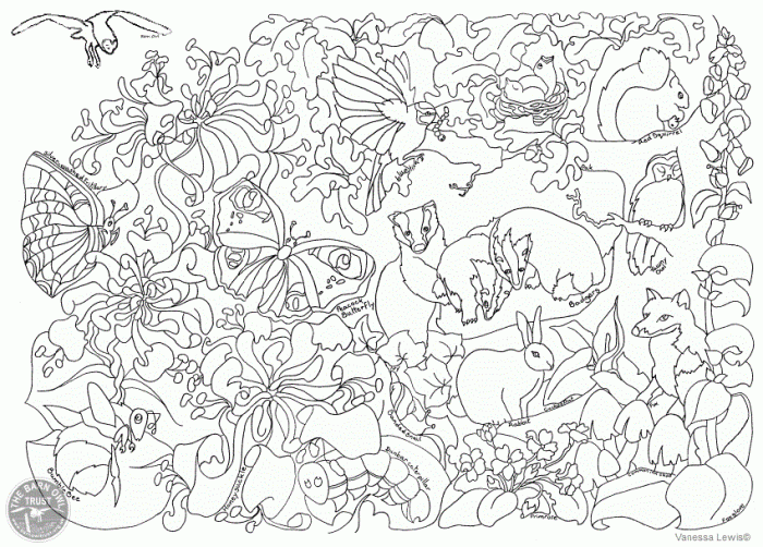 Coloring pages of wildlife animals