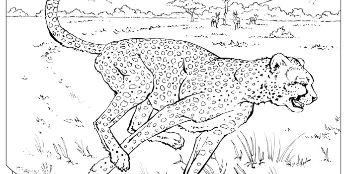 Cute realistic animal coloring pages