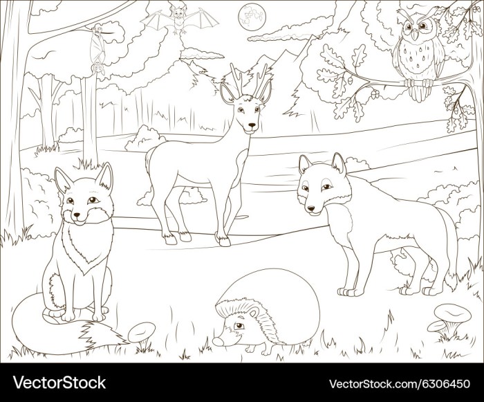 Animated baby forest animals coloring pages