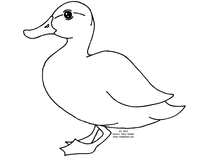 Animal coloring pages free