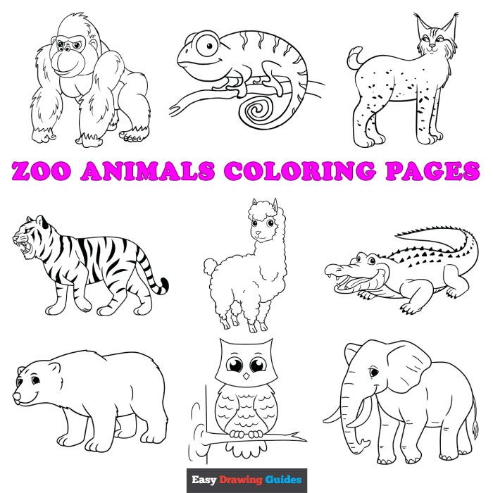 Coloring book animals printable