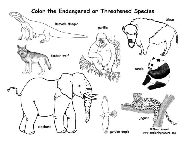 Endangered animal coloring page