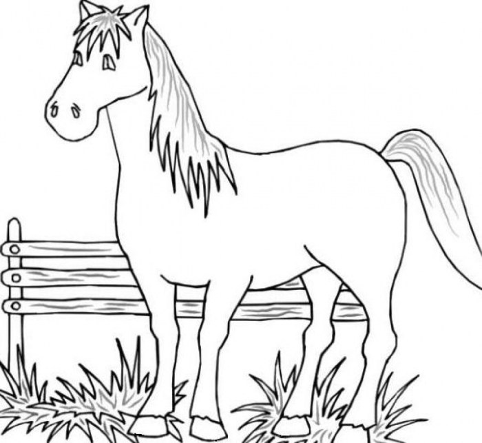 Farm animal coloring pages for kids printable