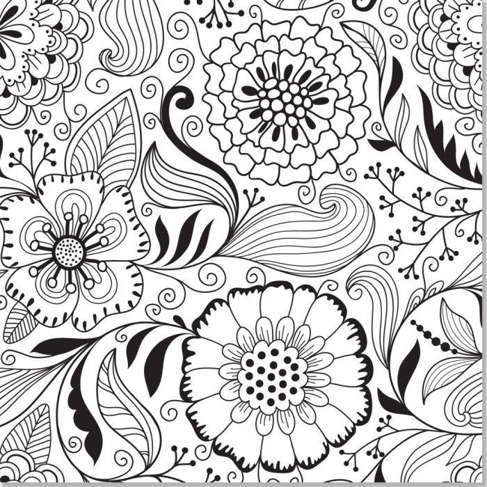 Amazon grown up coloring books