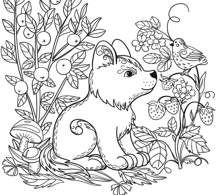 Coloring page animal categories