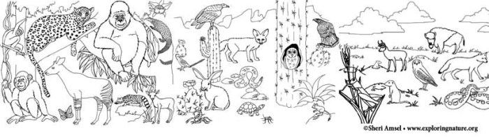 Free coloring pages animals habitat