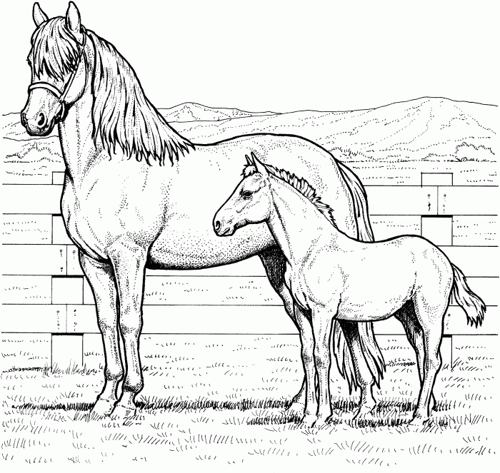 Anime horse coloring page