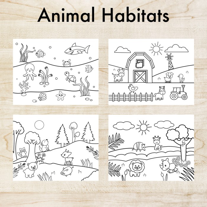 Free coloring pages animals habitat