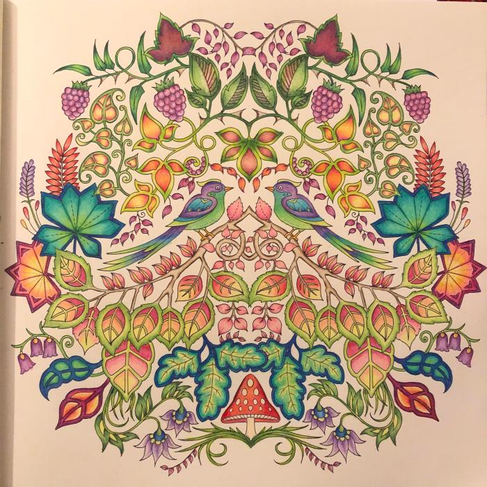 Best johanna basford coloring book