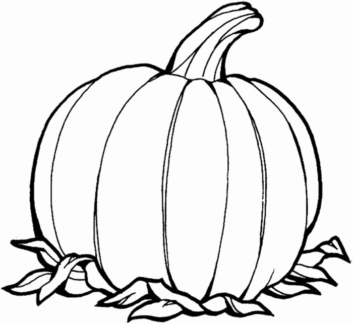 Pumpkin coloring book pages